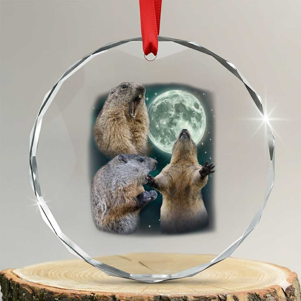 Funny Three Groundhog Moon Groundhog Day Meme Crystal Glass Ornament TS11 Transparent Glass 3'' Circle Print Your Wear