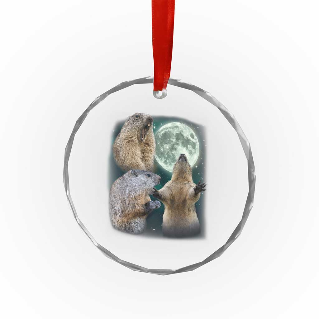 Funny Three Groundhog Moon Groundhog Day Meme Crystal Glass Ornament TS11 Print Your Wear