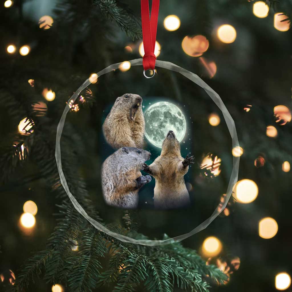 Funny Three Groundhog Moon Groundhog Day Meme Crystal Glass Ornament TS11 Print Your Wear