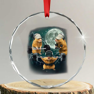 Funny Three Hamster Deadlift Gym Rat Moon Training Weightlifting Meme Crystal Glass Ornament TS11 Transparent Glass 3'' Circle Print Your Wear