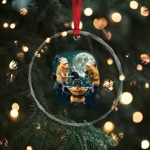 Funny Three Hamster Deadlift Gym Rat Moon Training Weightlifting Meme Crystal Glass Ornament TS11 Print Your Wear