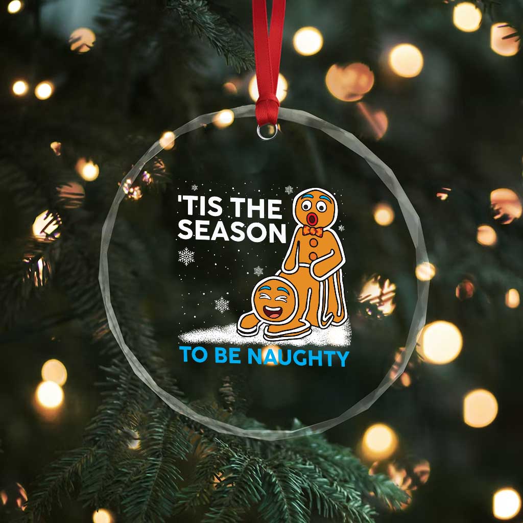 Funny Tis The Season To Be Naughty Dirty Christmas Crystal Glass Ornament Xmas Adult Humor TS11 Print Your Wear