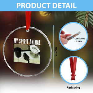 Funny Trashed Panda My Spirit Animal Crystal Glass Ornament Drunk Raccoon in Toilet Meme Hot Mess TS02 Print Your Wear