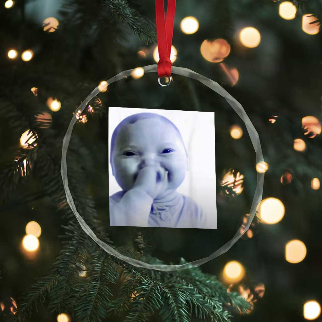Funny Tuff Baby Giggling Meme Crystal Glass Ornament Viral AI Niche Baby Holding Laugh Photo TS02 Print Your Wear