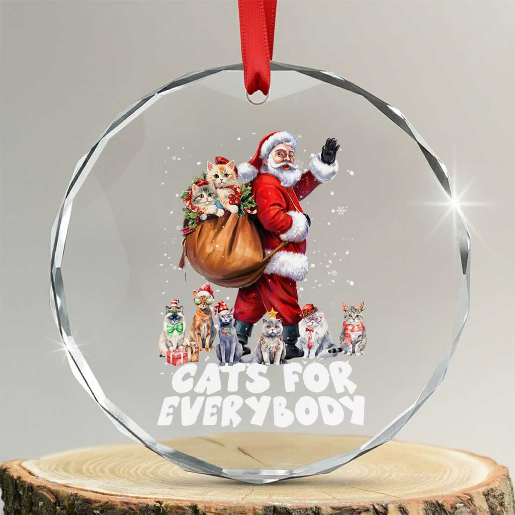 Funny Xmas Cat Crystal Glass Ornament Cats For Everybody Xmas Santa Pet TS11 Transparent Glass 3'' Circle Print Your Wear