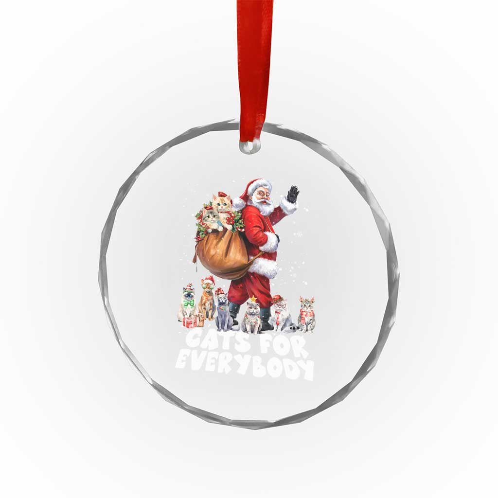 Funny Xmas Cat Crystal Glass Ornament Cats For Everybody Xmas Santa Pet TS11 Print Your Wear