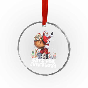 Funny Xmas Cat Crystal Glass Ornament Cats For Everybody Xmas Santa Pet TS11 Print Your Wear