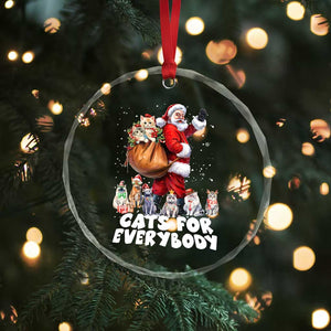 Funny Xmas Cat Crystal Glass Ornament Cats For Everybody Xmas Santa Pet TS11 Print Your Wear