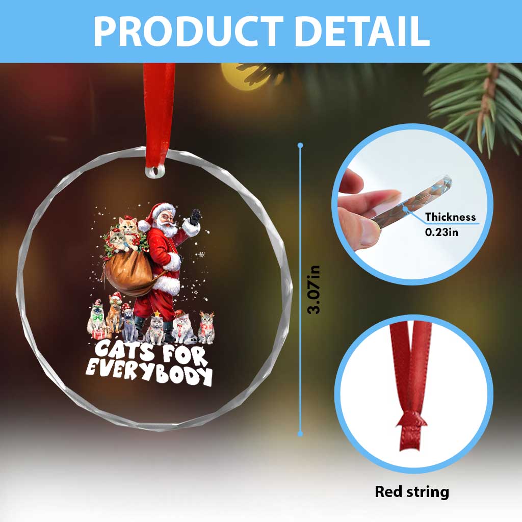 Funny Xmas Cat Crystal Glass Ornament Cats For Everybody Xmas Santa Pet TS11 Print Your Wear