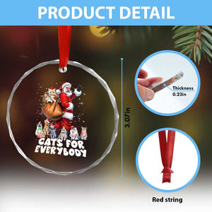 Funny Xmas Cat Crystal Glass Ornament Cats For Everybody Xmas Santa Pet TS11 Print Your Wear