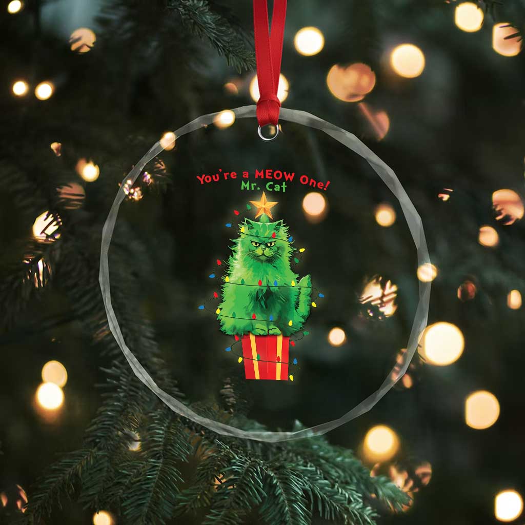 Funny Xmas Cat Crystal Glass Ornament You Are A Meow One Mr. Cat Green Cat TS09 Print Your Wear