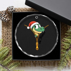 Funny Xmas Dinosaur Crystal Glass Ornament Ew People Xmas Gift TS12 Print Your Wear