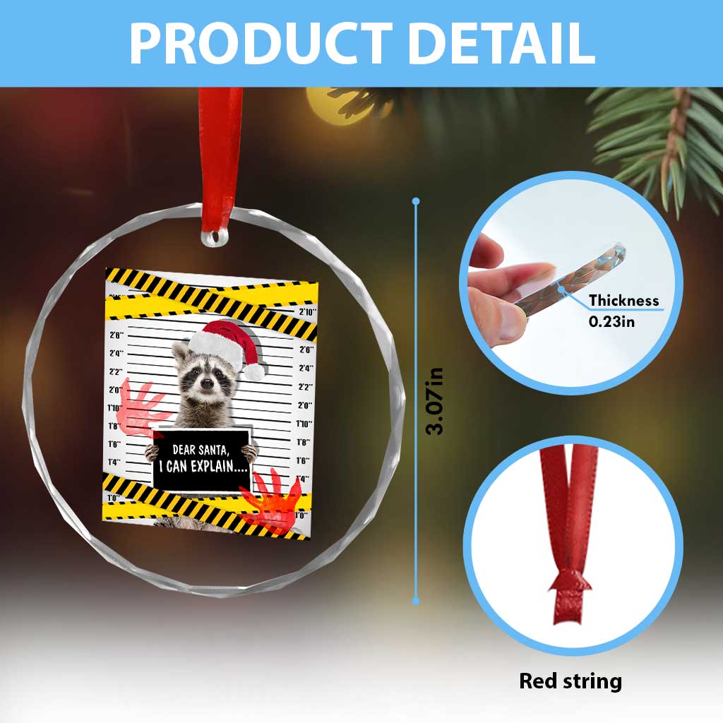 Funny Xmas Raccoon Crystal Glass Ornament Dear Santa I Can Explain TS09 Print Your Wear