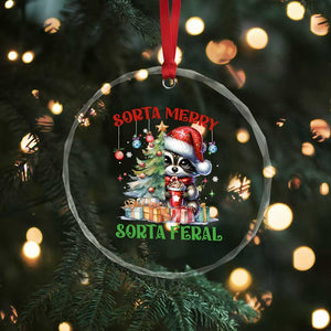 Funny Xmas Raccoon Crystal Glass Ornament Sorta Merry Sorta Feral Merry Trashmas TS09 Print Your Wear
