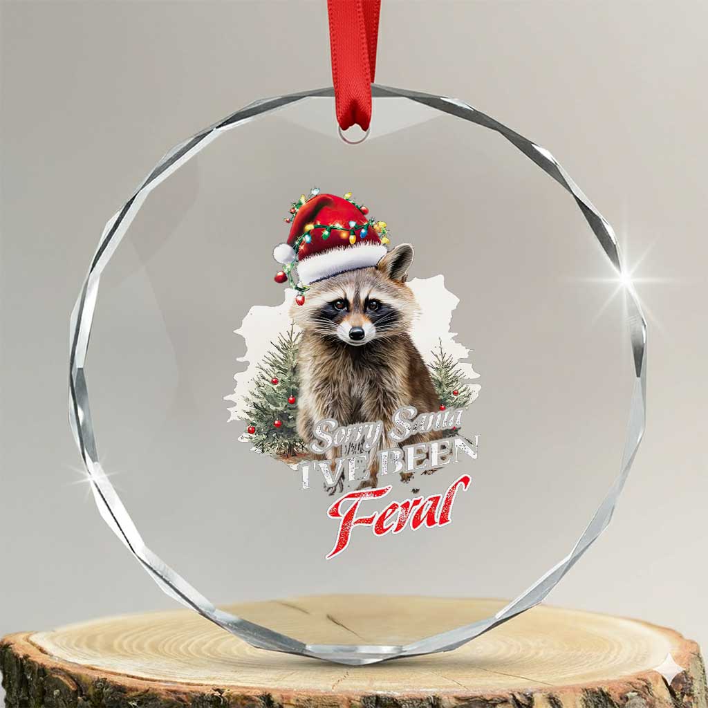 Funny Xmas Racoon Crystal Glass Ornament Sorry Santa I've Been Feral Trash Panda TS11 Transparent Glass 3'' Circle Print Your Wear