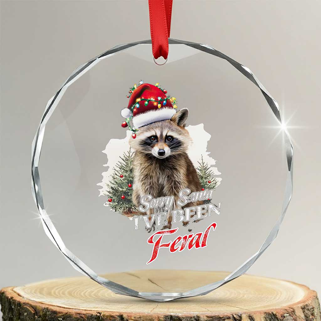 Funny Xmas Racoon Crystal Glass Ornament Sorry Santa I've Been Feral Trash Panda TS11 Transparent Glass 3'' Circle Print Your Wear