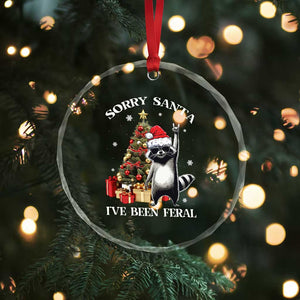 Funny Xmas Racoon Crystal Glass Ornament Sorry Santa I've Been Feral Xmas Hat TS11 Print Your Wear