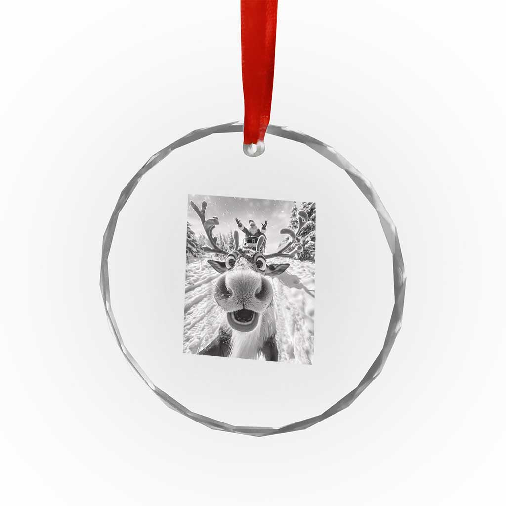 Funny Xmas Reindeer Selfie Crystal Glass Ornament With Santa Xmas Gag Gift TS02 Print Your Wear