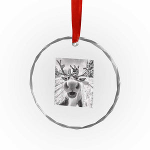 Funny Xmas Reindeer Selfie Crystal Glass Ornament With Santa Xmas Gag Gift TS02 Print Your Wear