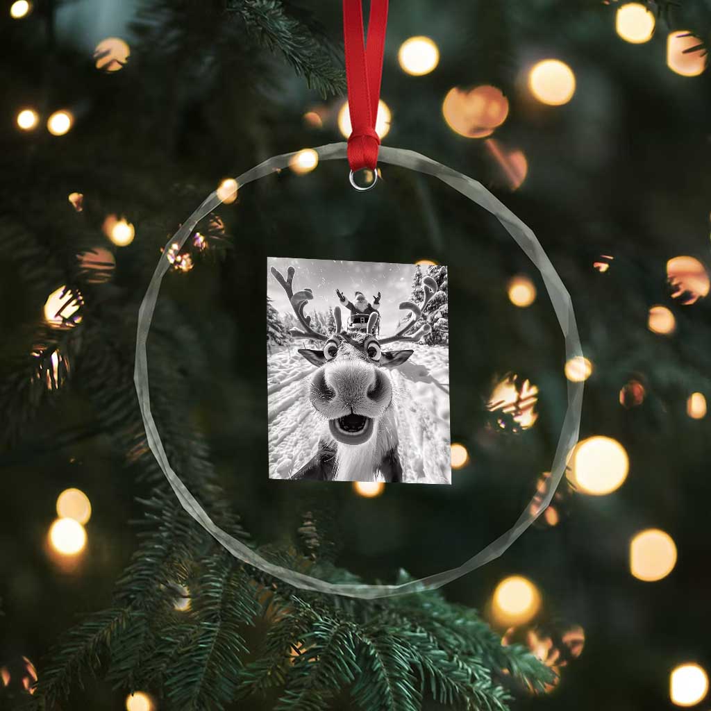 Funny Xmas Reindeer Selfie Crystal Glass Ornament With Santa Xmas Gag Gift TS02 Print Your Wear