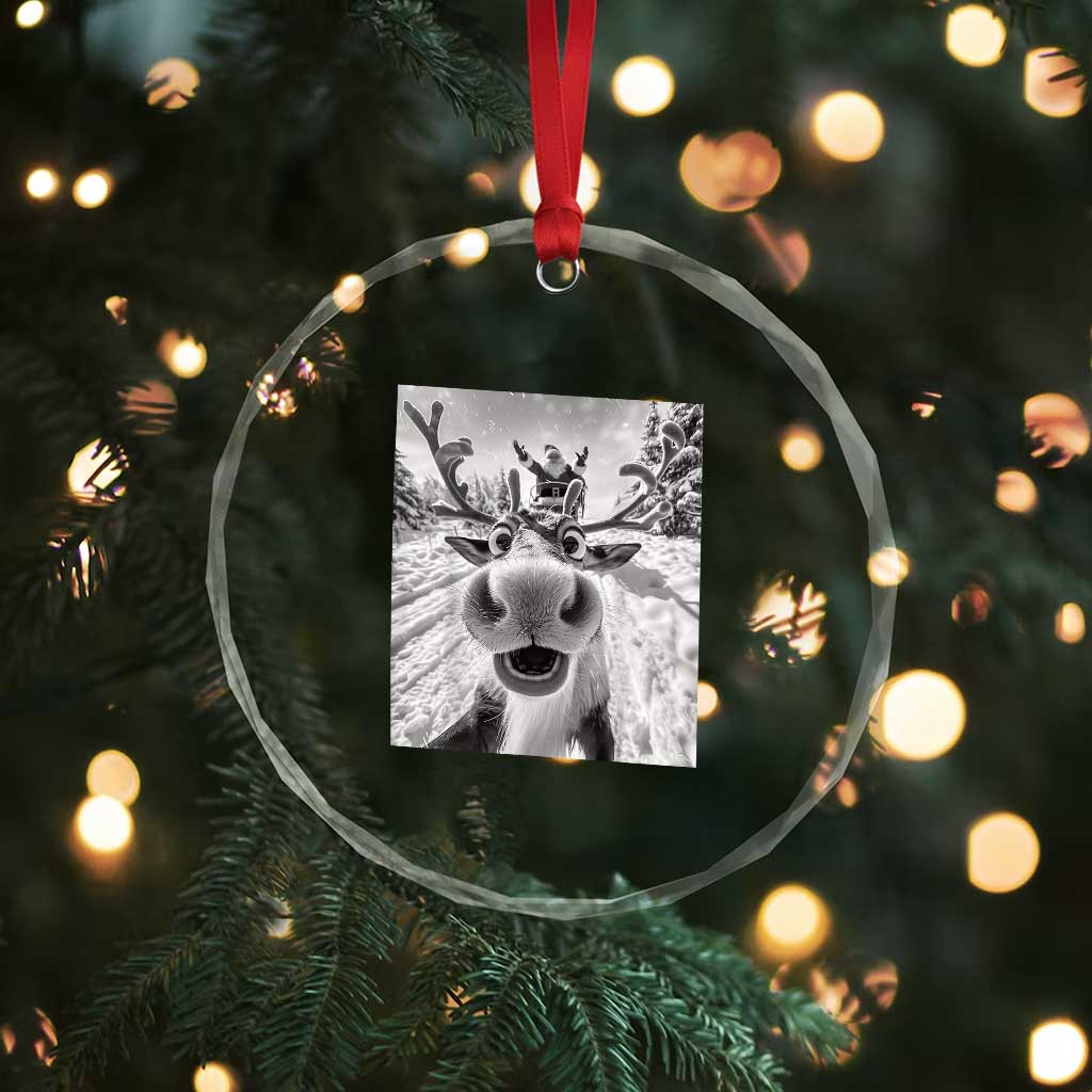 Funny Xmas Reindeer Selfie Crystal Glass Ornament With Santa Xmas Gag Gift TS02 Print Your Wear