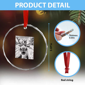 Funny Xmas Reindeer Selfie Crystal Glass Ornament With Santa Xmas Gag Gift TS02 Print Your Wear