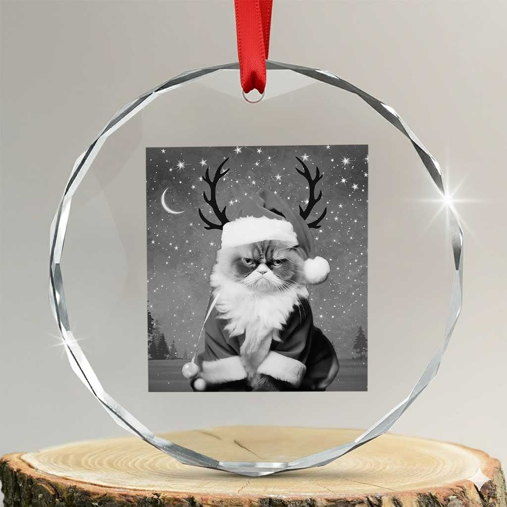 Funny Xmas Santa Grumpy Cat Crystal Glass Ornament TS11 Transparent Glass 3'' Circle Print Your Wear