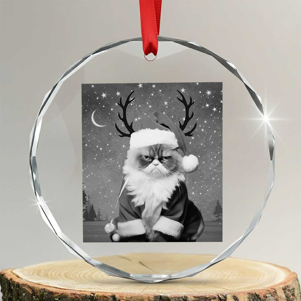 Funny Xmas Santa Grumpy Cat Crystal Glass Ornament TS11 Transparent Glass 3'' Circle Print Your Wear