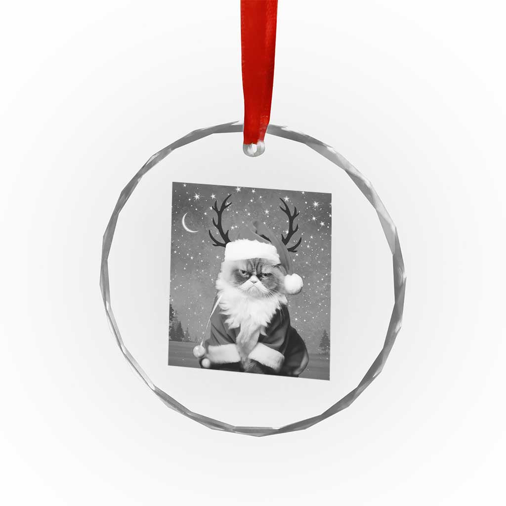 Funny Xmas Santa Grumpy Cat Crystal Glass Ornament TS11 Print Your Wear