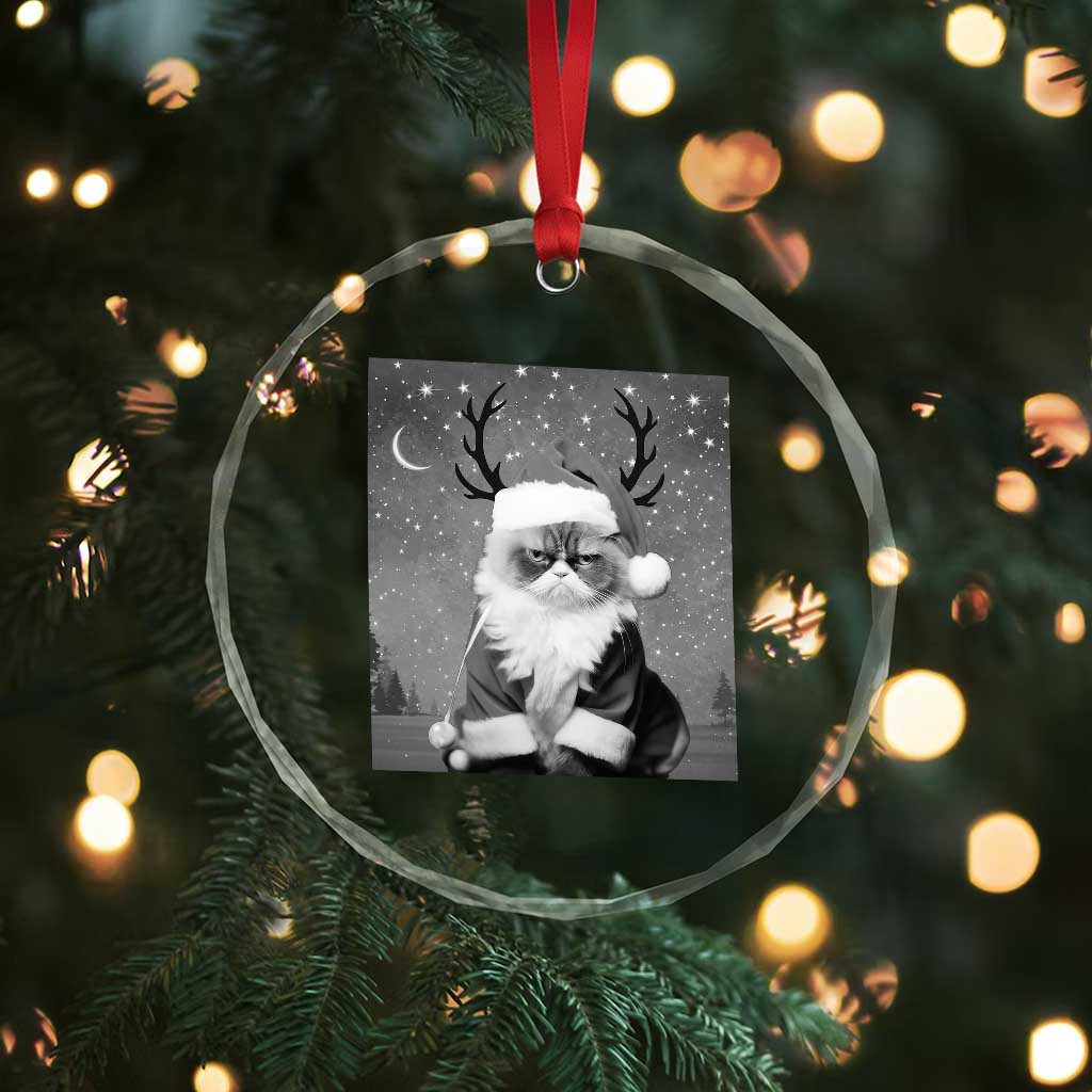Funny Xmas Santa Grumpy Cat Crystal Glass Ornament TS11 Print Your Wear