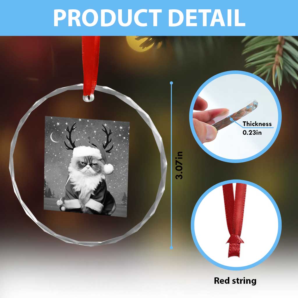 Funny Xmas Santa Grumpy Cat Crystal Glass Ornament TS11 Print Your Wear
