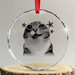 Funny Y2k Cat Meme Crystal Glass Ornament Vintage Retro Silly Cats Cats lover Gift TS10 Transparent Glass 3'' Circle Print Your Wear
