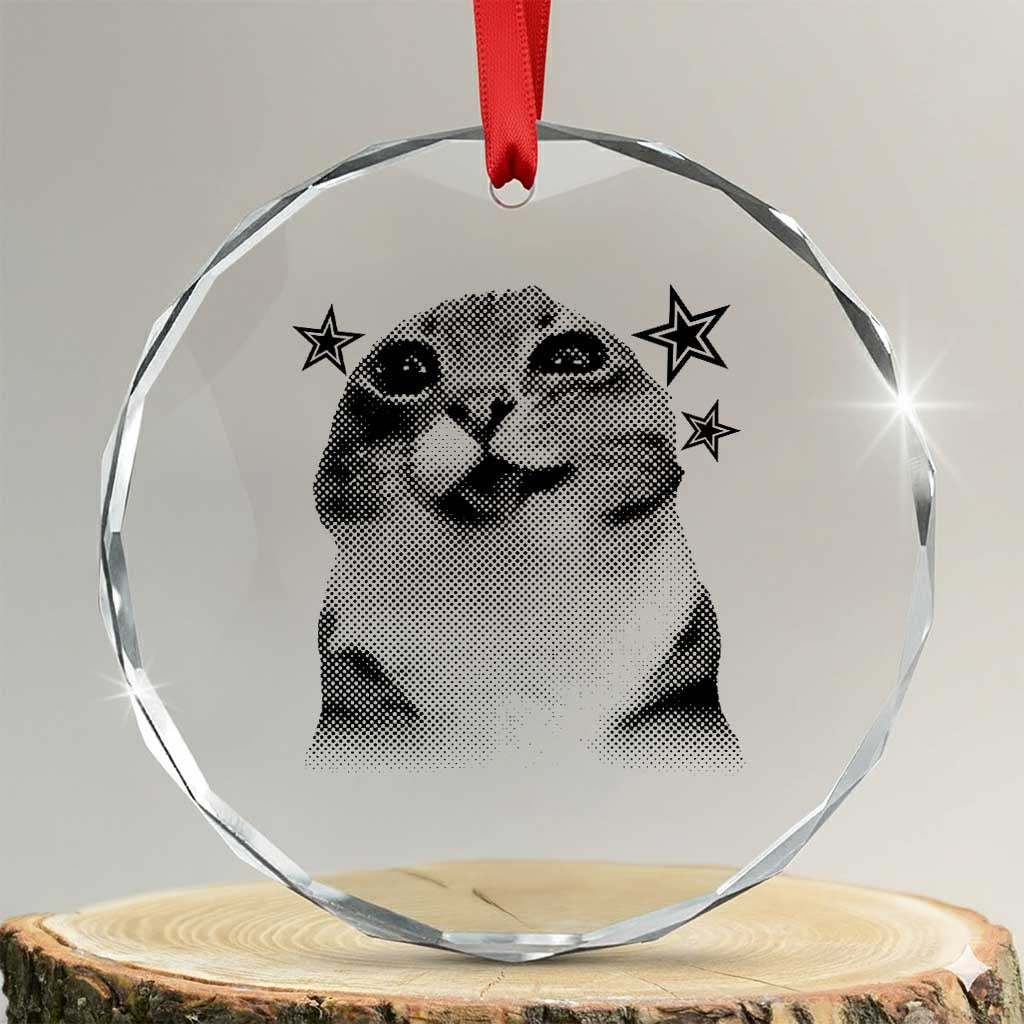 Funny Y2k Cat Meme Crystal Glass Ornament Vintage Retro Silly Cats Cats lover Gift TS10 Transparent Glass 3'' Circle Print Your Wear