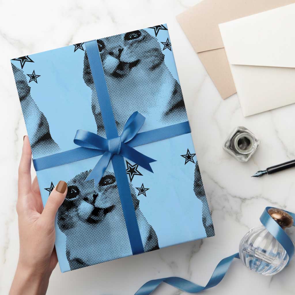 Funny Y2k Cat Meme Wrapping Paper Roll Vintage Retro Silly Cats Cats lover Gift TS10 Light Blue Print Your Wear