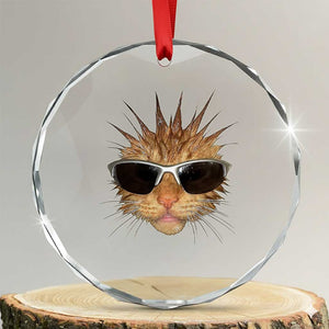 Funny Y2k Retro Cat Meme Crystal Glass Ornament Vintage Cat Edgy Retro 90s Streetwear TS10 Transparent Glass 3'' Circle Print Your Wear