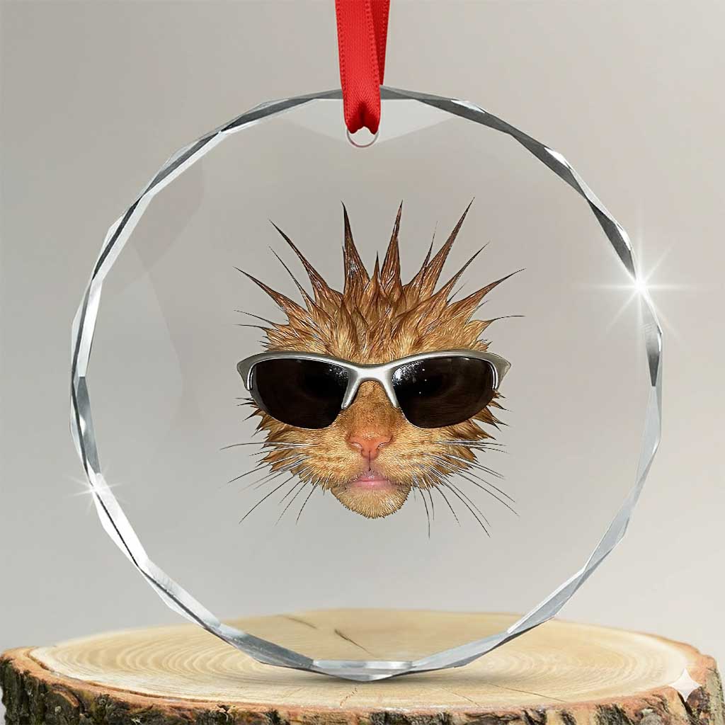 Funny Y2k Retro Cat Meme Crystal Glass Ornament Vintage Cat Edgy Retro 90s Streetwear TS10 Transparent Glass 3'' Circle Print Your Wear