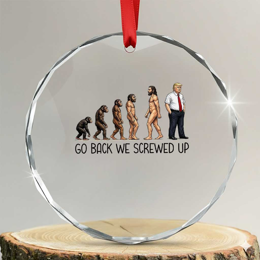 Go Back We Screwed Up Crystal Glass Ornament Funny Anti Authoritarian TS12 Transparent Glass 3'' Circle Print Your Wear