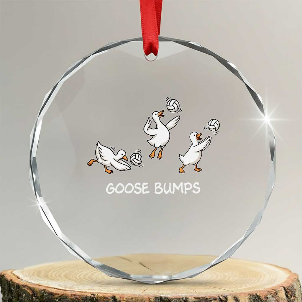 Goose Bumps Funny Volleyball Crystal Glass Ornament Goose Sports Humor TS11 Transparent Glass 3'' Circle Print Your Wear