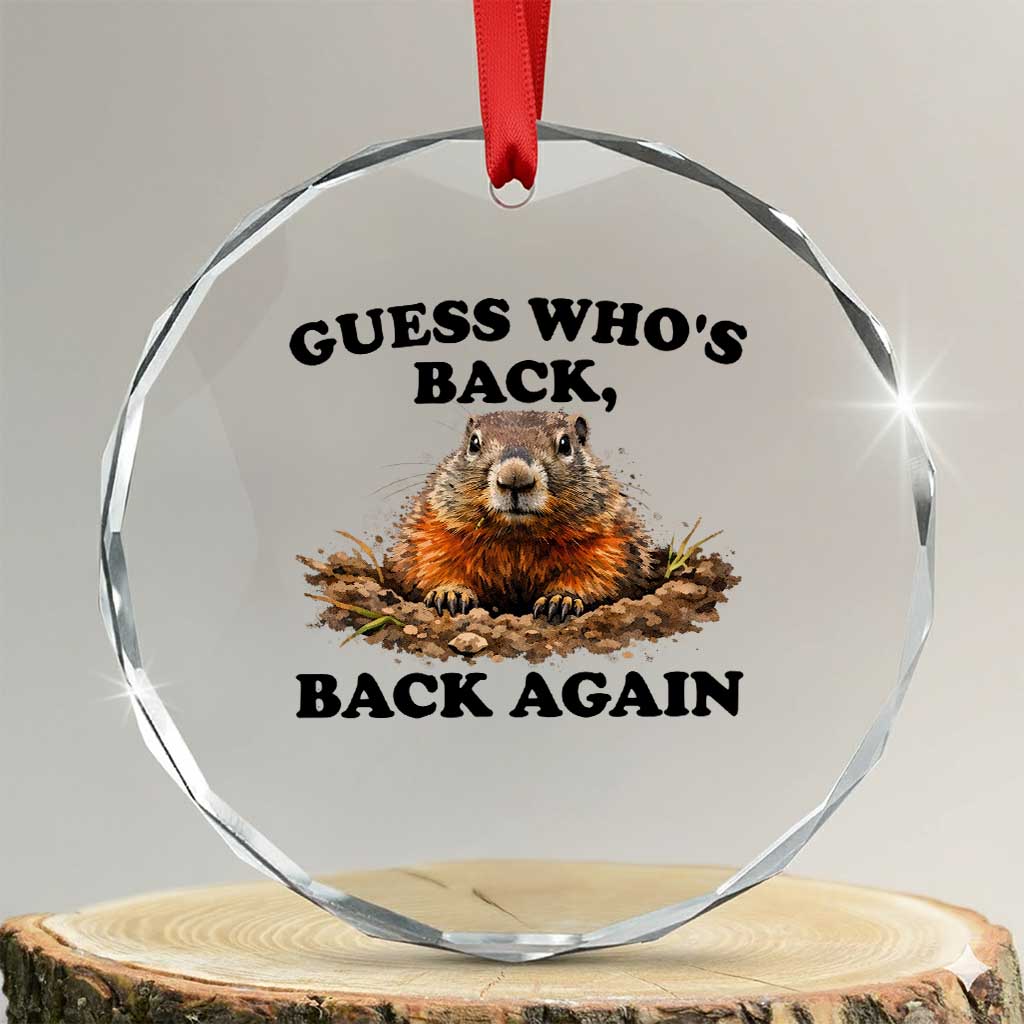 Groundhog Day Crystal Glass Ornament Funny Woodchuck Guess Whos Back TS10 Transparent Glass 3'' Circle Print Your Wear