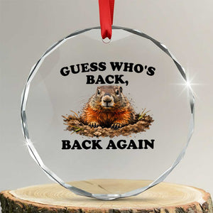 Groundhog Day Crystal Glass Ornament Funny Woodchuck Guess Whos Back TS10 Transparent Glass 3'' Circle Print Your Wear