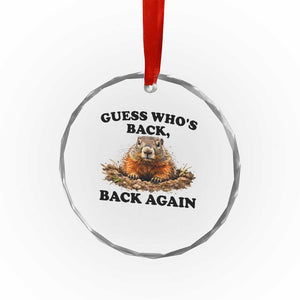 Groundhog Day Crystal Glass Ornament Funny Woodchuck Guess Whos Back TS10 Print Your Wear