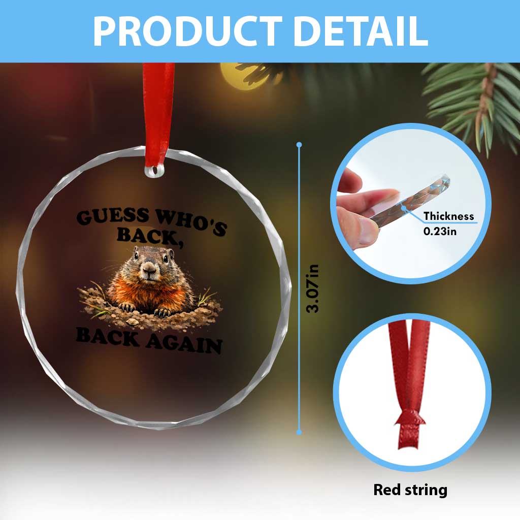 Groundhog Day Crystal Glass Ornament Funny Woodchuck Guess Whos Back TS10 Print Your Wear