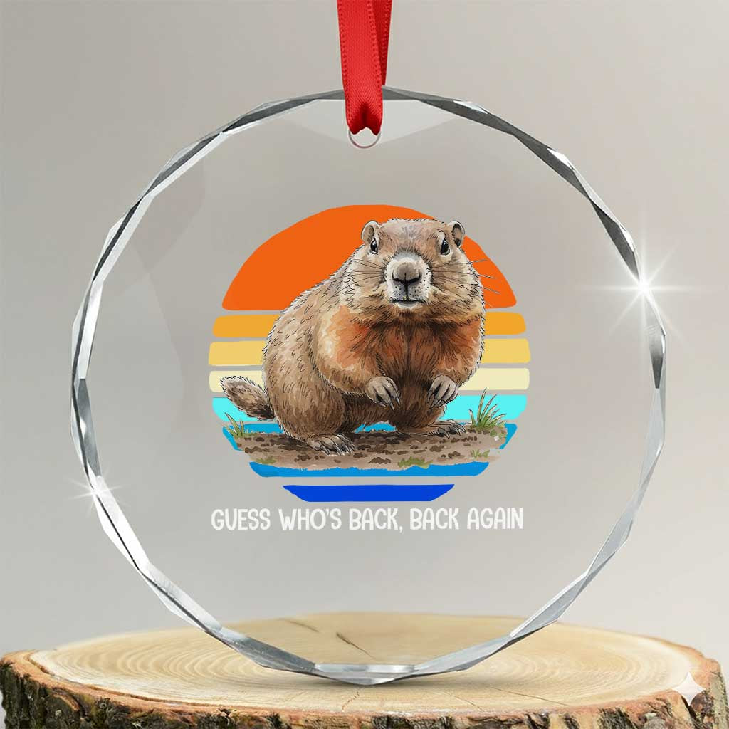 Groundhog Day Crystal Glass Ornament Retro Vintage Funny Woodchuck Guess Whos Back TS10 Transparent Glass 3'' Circle Print Your Wear