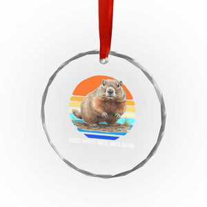 Groundhog Day Crystal Glass Ornament Retro Vintage Funny Woodchuck Guess Whos Back TS10 Print Your Wear