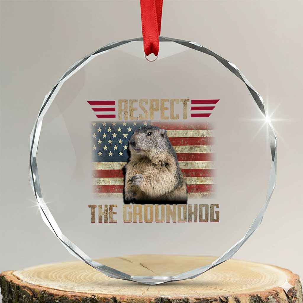 Groundhog Meteorology Crystal Glass Ornament Respect The Groundhog Woodchuck Photo GroundHog Day TS02 Transparent Glass 3'' Circle Print Your Wear