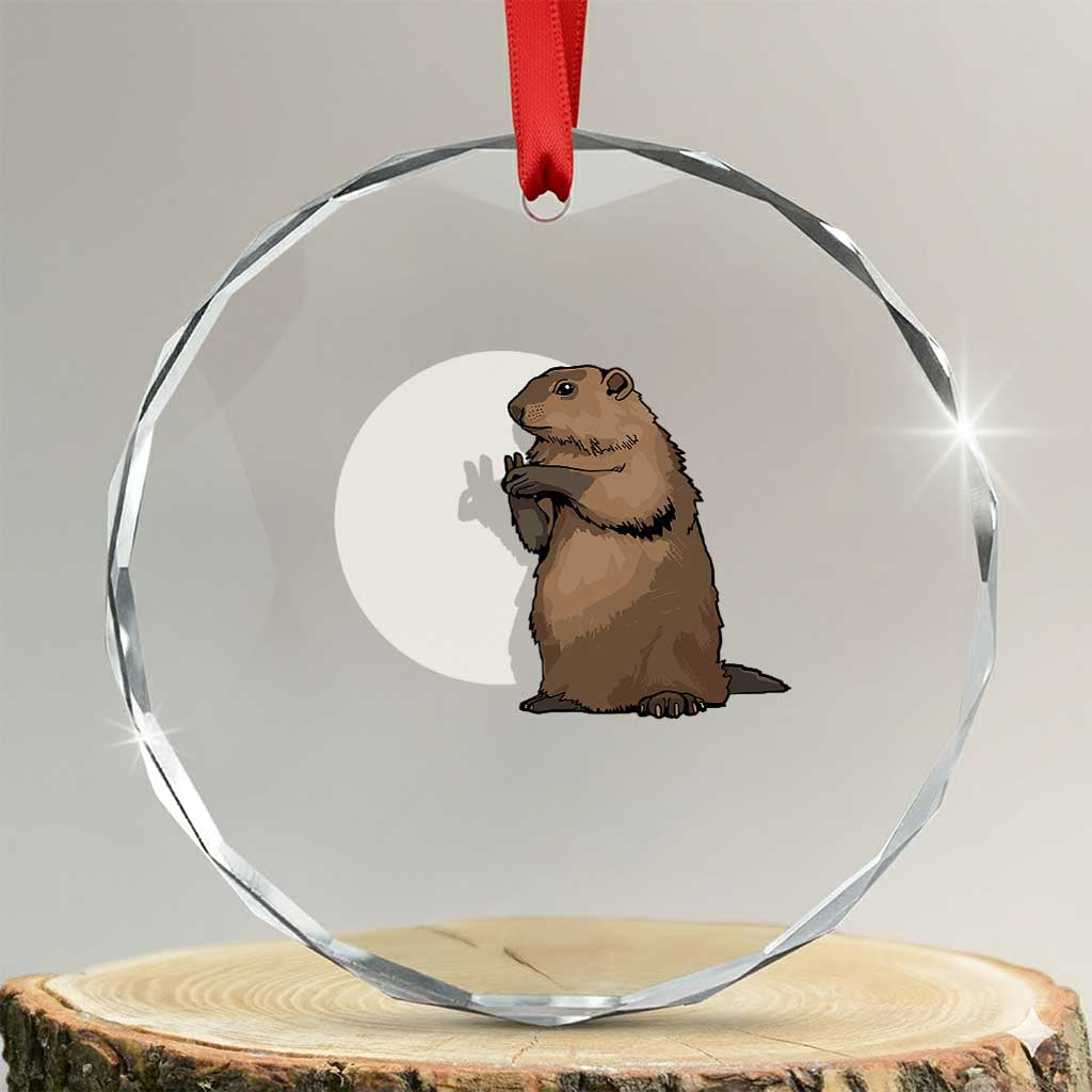 Groundhog Shadow Meteorlogy Crystal Glass Ornament Woodchuck Puppet Funny Gift TS02 Transparent Glass 3'' Circle Print Your Wear