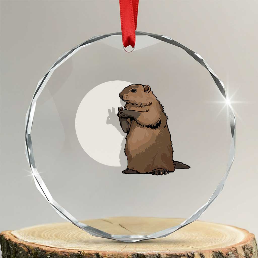 Groundhog Shadow Meteorlogy Crystal Glass Ornament Woodchuck Puppet Funny Gift TS02 Transparent Glass 3'' Circle Print Your Wear