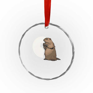 Groundhog Shadow Meteorlogy Crystal Glass Ornament Woodchuck Puppet Funny Gift TS02 Print Your Wear
