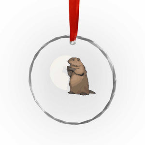 Groundhog Shadow Meteorlogy Crystal Glass Ornament Woodchuck Puppet Funny Gift TS02 Print Your Wear