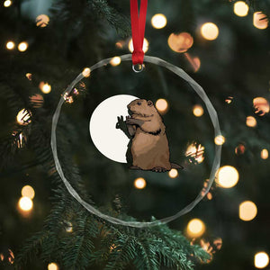 Groundhog Shadow Meteorlogy Crystal Glass Ornament Woodchuck Puppet Funny Gift TS02 Print Your Wear
